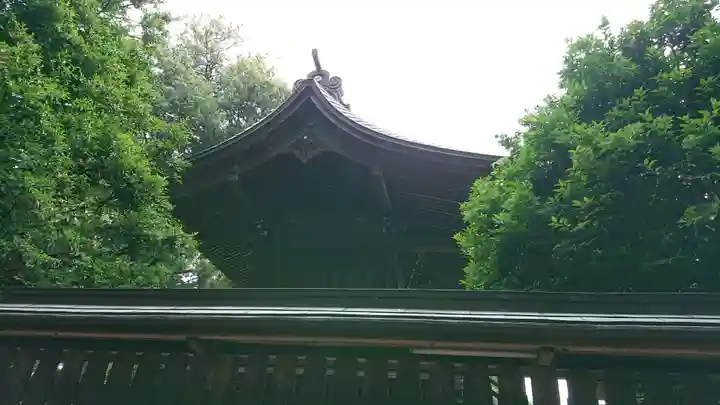 須賀神社の本殿・本堂