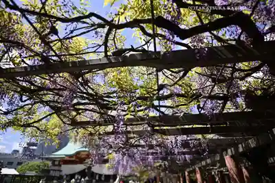 日枝神社(東京都)