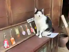 王子神社の動物