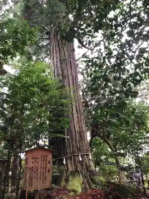 須佐神社の自然
