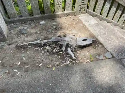 川田八幡神社(徳島県)