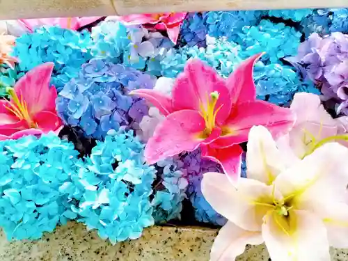 札幌伏見稲荷神社(北海道)