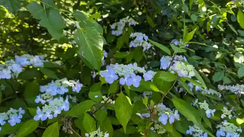 日體寺(京都府)