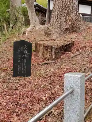 長林寺（山川長林寺）(栃木県)
