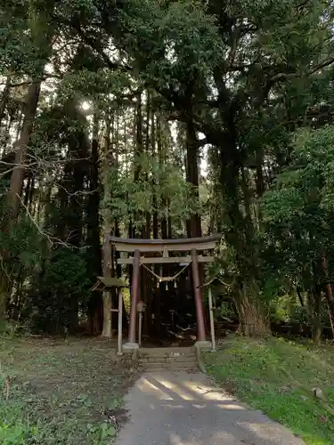 白山神社の鳥居