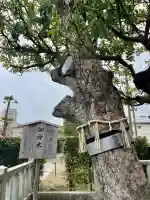 安国院の{uncategorized: "未分類", other: "その他", undefined: "問題あり", building: "その他建物", grave: "お墓", sacred_gate: "鳥居", guardian: "狛犬", statue: "像", buddha: "仏像", history: "歴史", nature: "自然", garden: "庭園", animal: "動物", pagoda: "塔", temizu: "手水舎", mountain_gate: "山門・神門", sanctuary: "本殿・本堂", subordinate: "末社・摂社", art: "芸術", scenery: "景色", jizo: "地蔵", ema: "絵馬", goshuin: "御朱印", omikuji: "おみくじ", items: "授与品その他", amulet: "お守り", goshuincho: "御朱印帳", eats: "食事", festival: "お祭り", votive_dance: "神楽", shichigosan: "七五三参", wedding: "結婚式", experience: "体験その他", initially: "初詣", around: "周辺", anti_infection: "感染症対策"}