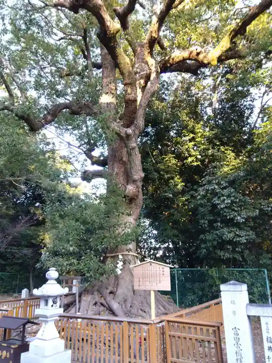 和泉國一之宮 大鳥大社(大阪府)