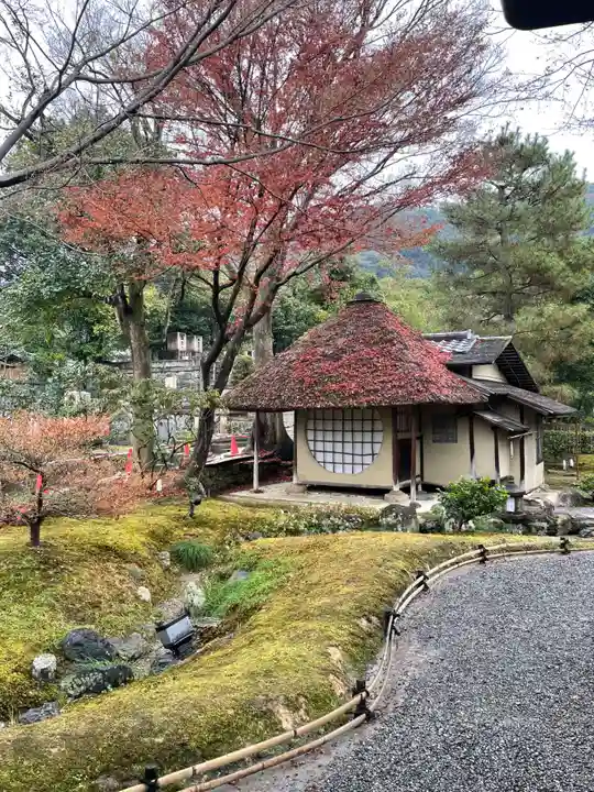高台寺(高台寿聖禅寺・高臺寺)(京都府)
