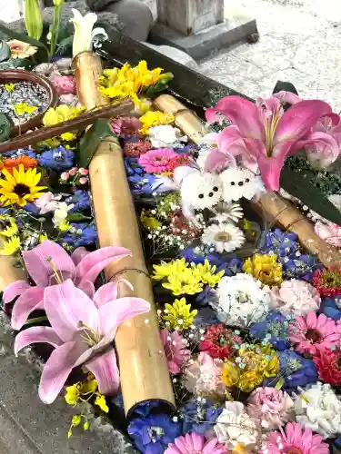 札幌護國神社の{uncategorized: "未分類", other: "その他", undefined: "問題あり", building: "その他建物", grave: "お墓", sacred_gate: "鳥居", guardian: "狛犬", statue: "像", buddha: "仏像", history: "歴史", nature: "自然", garden: "庭園", animal: "動物", pagoda: "塔", temizu: "手水舎", mountain_gate: "山門・神門", sanctuary: "本殿・本堂", subordinate: "末社・摂社", art: "芸術", scenery: "景色", jizo: "地蔵", ema: "絵馬", goshuin: "御朱印", omikuji: "おみくじ", items: "授与品その他", amulet: "お守り", goshuincho: "御朱印帳", eats: "食事", festival: "お祭り", votive_dance: "神楽", shichigosan: "七五三参", wedding: "結婚式", experience: "体験その他", initially: "初詣", around: "周辺", anti_infection: "感染症対策"}