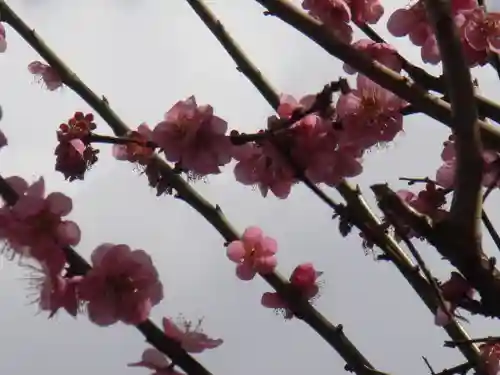 水火天満宮の自然