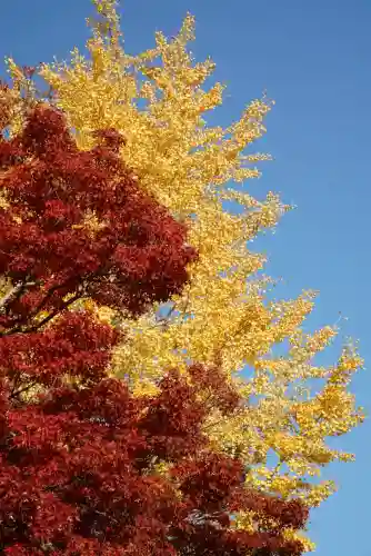  智積院(京都府)