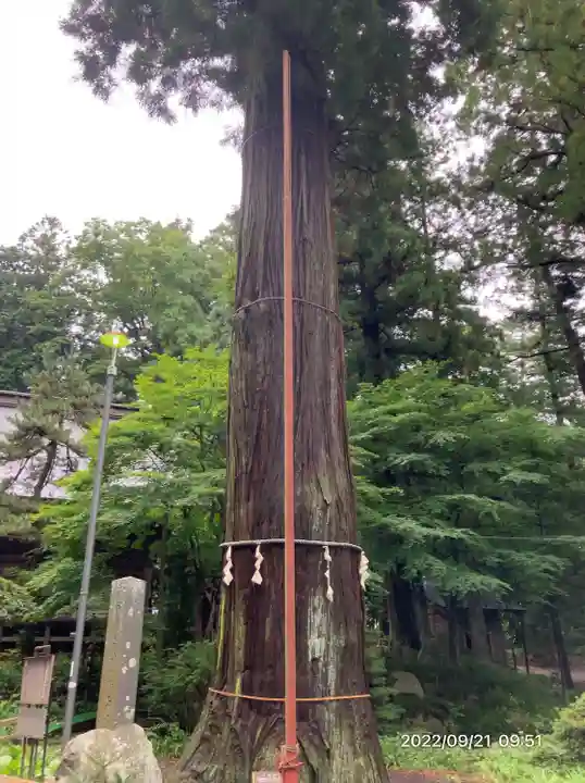 河口浅間神社(山梨県)