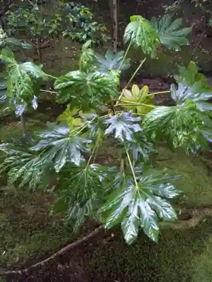 酬恩庵一休寺(京都府)
