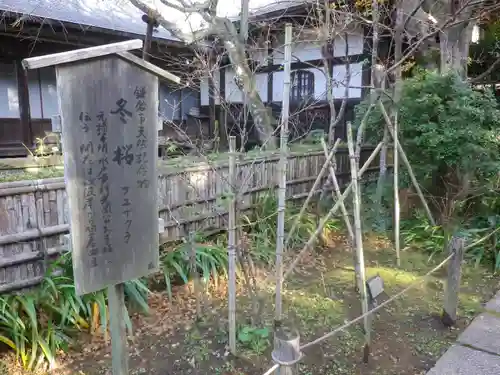 瑞泉寺の庭園