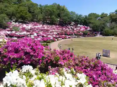 誠照寺(福井県)