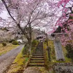 福徳寺(京都府)