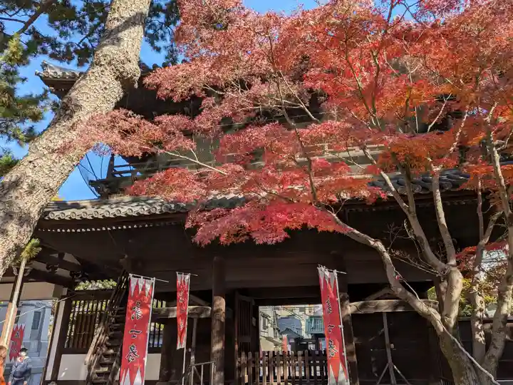 泉岳寺(東京都)