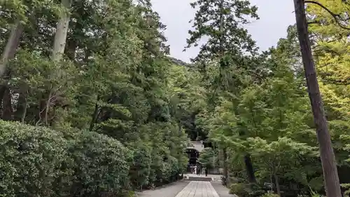 白旗神社の景色