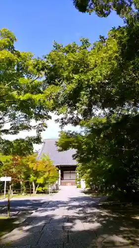 光明寺（粟生光明寺）の末社・摂社