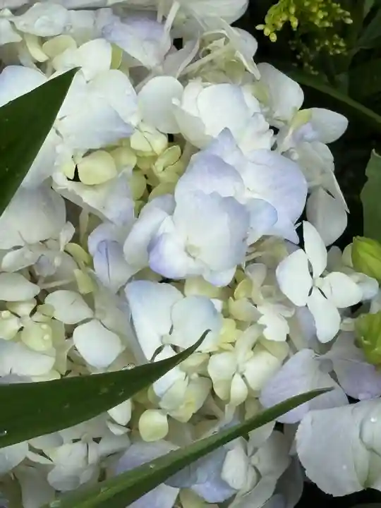 上尾御嶽神社(埼玉県)