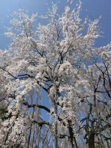 足羽神社(福井県)
