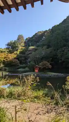 浄瑠璃寺(京都府)