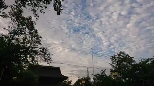 尾張大國霊神社（国府宮）の自然