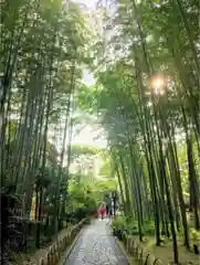 日枝神社の周辺