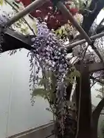 西方山極楽寺の自然