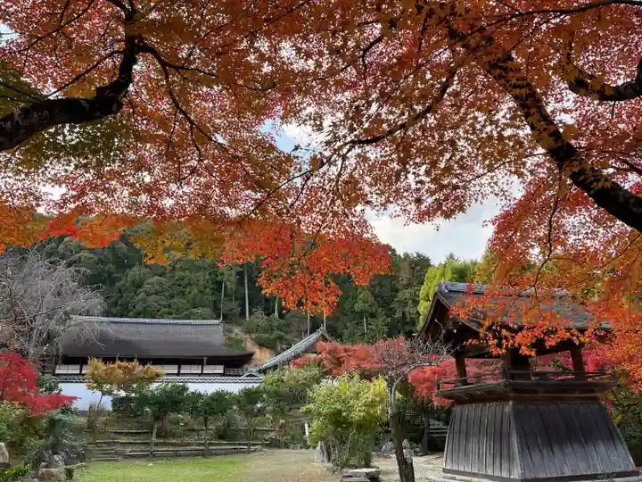 正伝護国禅寺(正伝寺・正傳寺)(京都府)