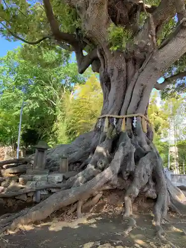 熊野神社(千葉県)