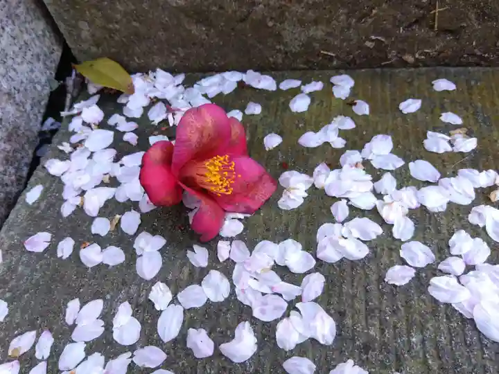 湊八幡神社(福井県)