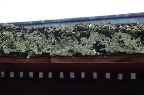 下御霊神社(京都府)