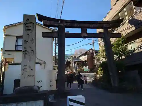 白山神社(東京都)