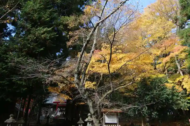 磐椅神社の景色