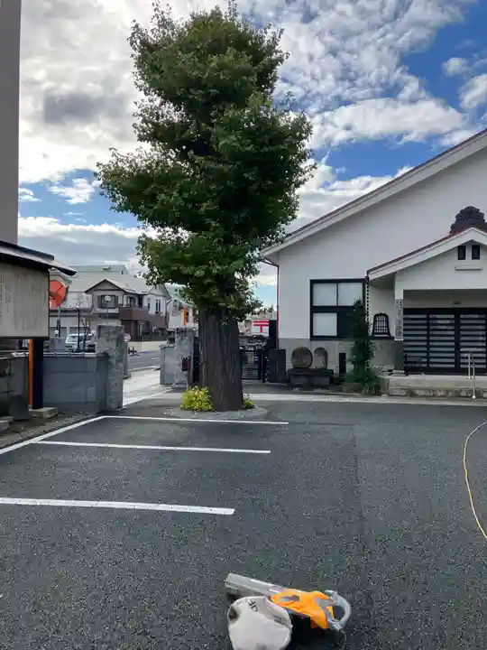 誓願寺 真言宗智山派(山形県)