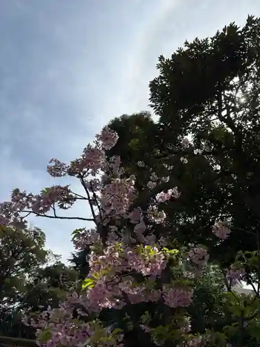 東京大神宮(東京都)