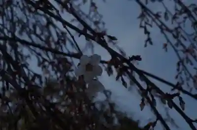 敷地神社（わら天神宮）(京都府)