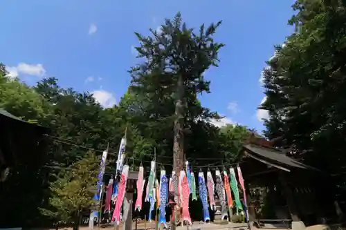 滑川神社 - 仕事と子どもの守り神の景色