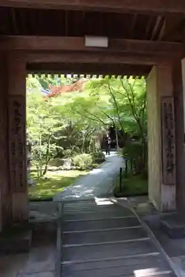 大日寺の山門・神門