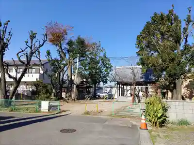 高畑神明社（九之坪神社）の自然