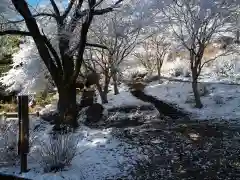 清水寺の景色