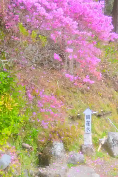 夫婦木神社(山梨県)