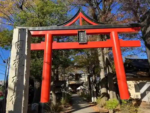 丸子山王日枝神社の鳥居