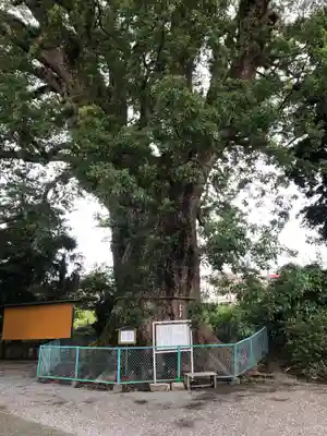 伊勢神明社のその他建物