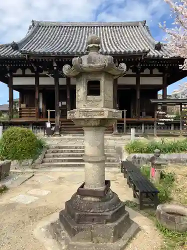 般若寺 ❁﻿コスモス寺❁(奈良県)