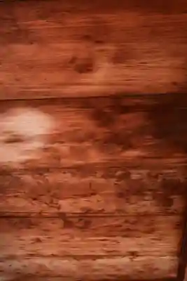 正伝護国禅寺(正伝寺･正傳寺)(京都府)