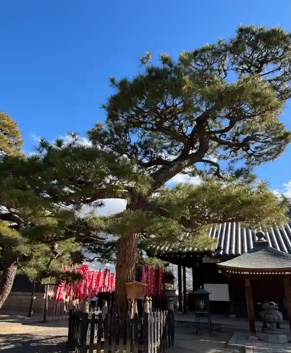 葛井寺の{uncategorized: "未分類", other: "その他", undefined: "問題あり", building: "その他建物", grave: "お墓", sacred_gate: "鳥居", guardian: "狛犬", statue: "像", buddha: "仏像", history: "歴史", nature: "自然", garden: "庭園", animal: "動物", pagoda: "塔", temizu: "手水舎", mountain_gate: "山門・神門", sanctuary: "本殿・本堂", subordinate: "末社・摂社", art: "芸術", scenery: "景色", jizo: "地蔵", ema: "絵馬", goshuin: "御朱印", omikuji: "おみくじ", items: "授与品その他", amulet: "お守り", goshuincho: "御朱印帳", eats: "食事", festival: "お祭り", votive_dance: "神楽", shichigosan: "七五三参", wedding: "結婚式", experience: "体験その他", initially: "初詣", around: "周辺", anti_infection: "感染症対策"}