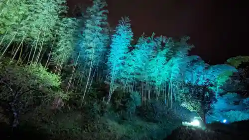 金蛇水神社(宮城県)