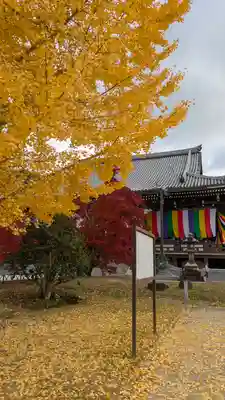  智積院(京都府)